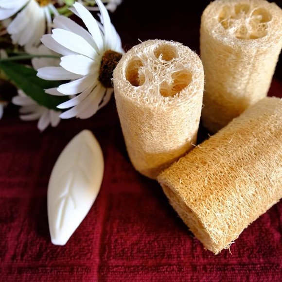 Loofah (pack of 3) - Picture 3 of 3